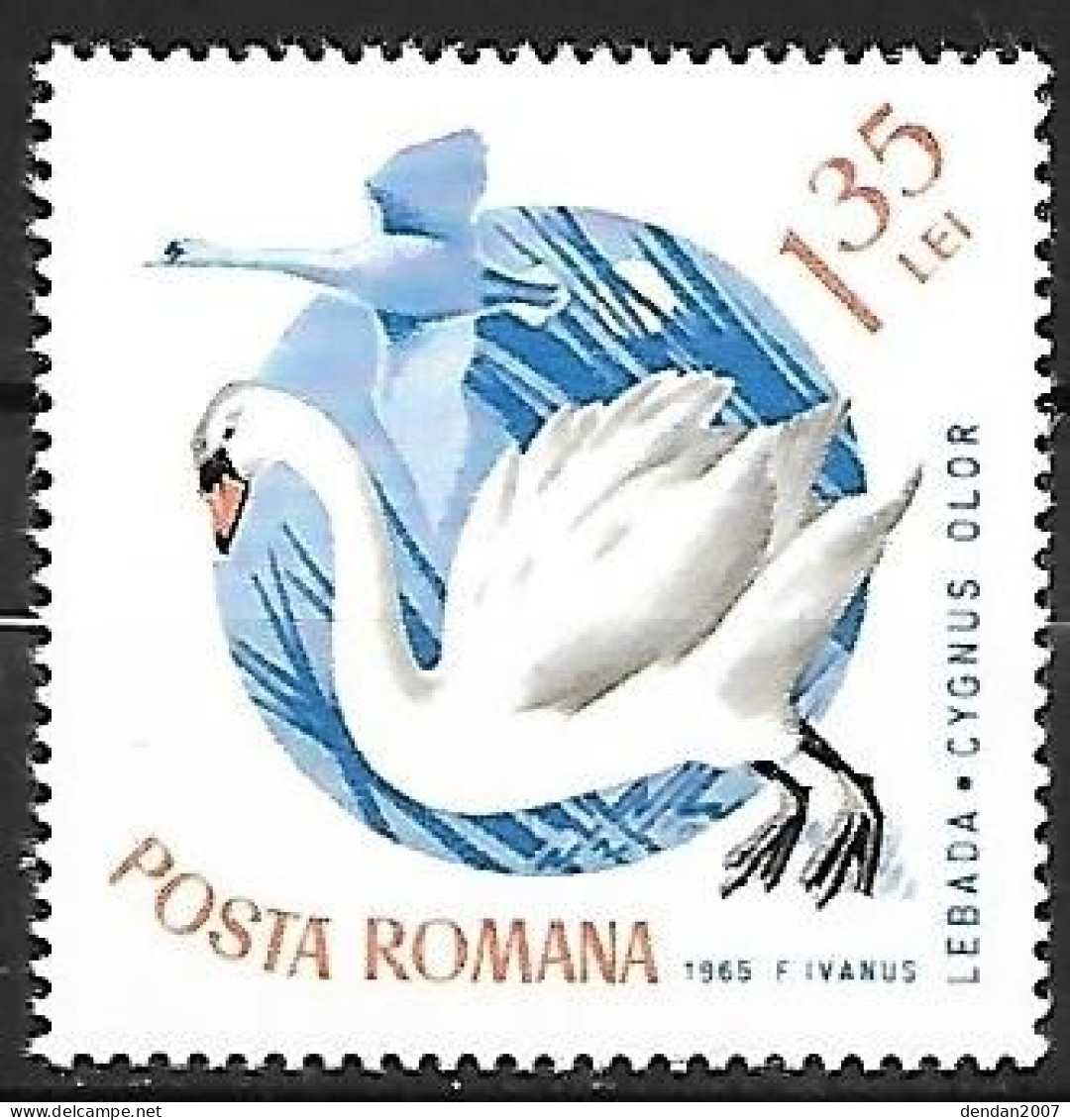 Rumania - MNH ** 1965 :     Mute Swan  -  Cygnus Olor - Schwäne