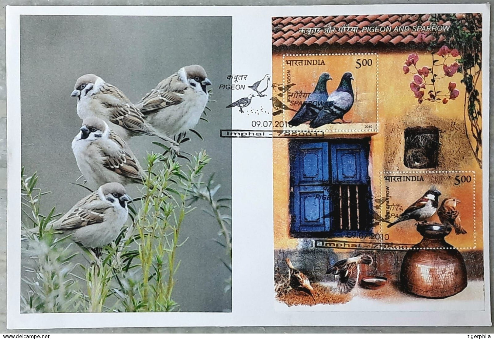 INDIA 2010 Birds Pvt Cachet MINIATURE SHEET FDC - Storia Postale