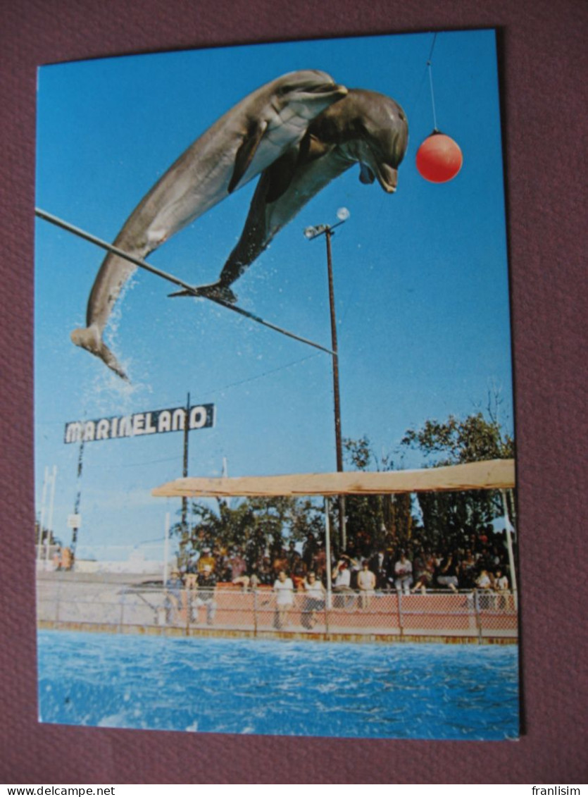 CPA CPSM 06  ANTIBES MARINELAND Dauphin Saut Groupé De Dauphins - Dauphins