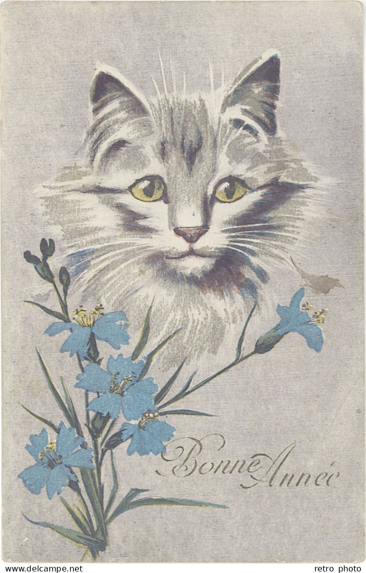 B Bonne Année, Chat & Fleurs - New Year