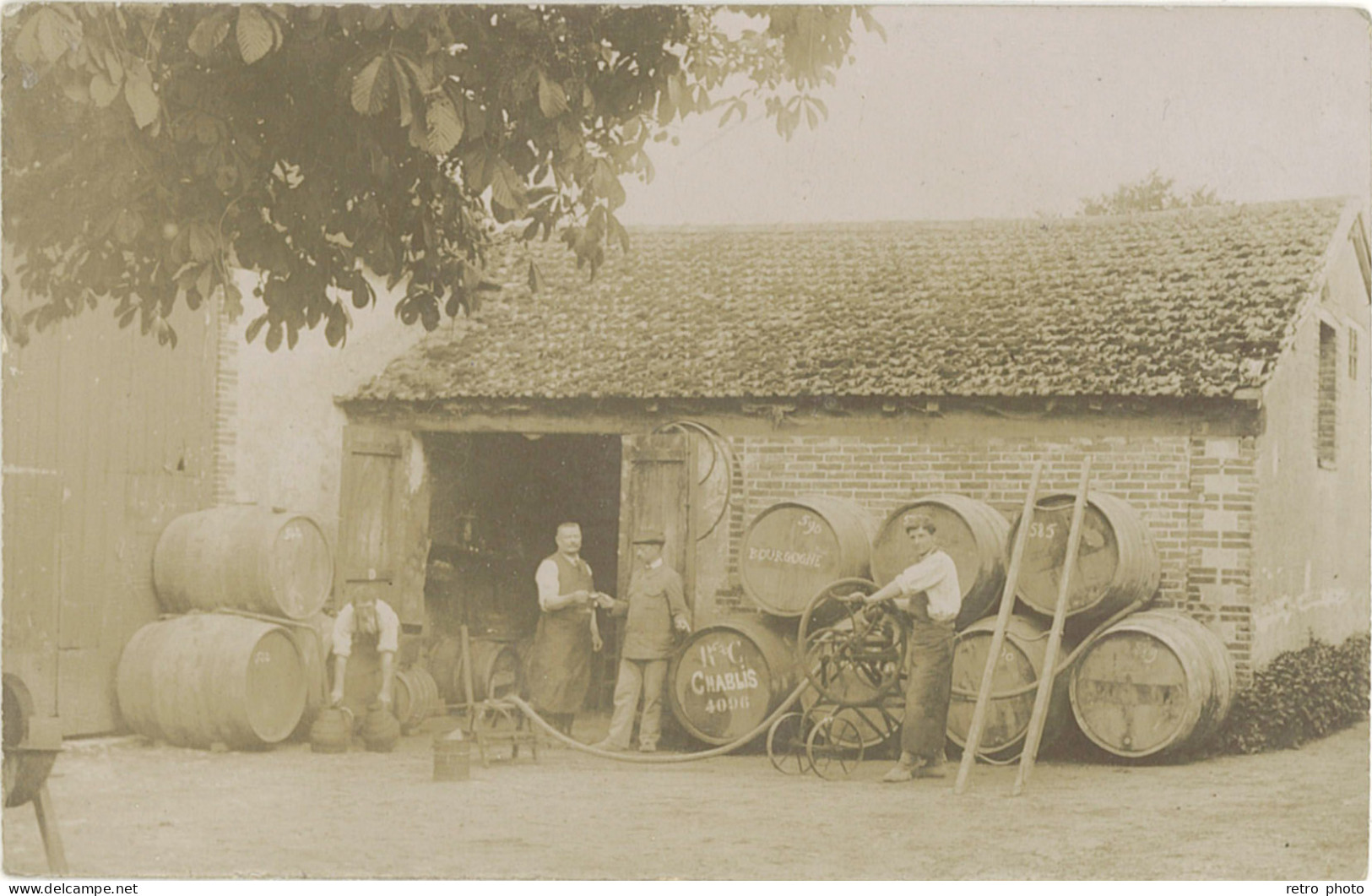 TB 10 (?) – Carte-photo Tonneaux Vins  Chablis / Bourgogne - Otros & Sin Clasificación