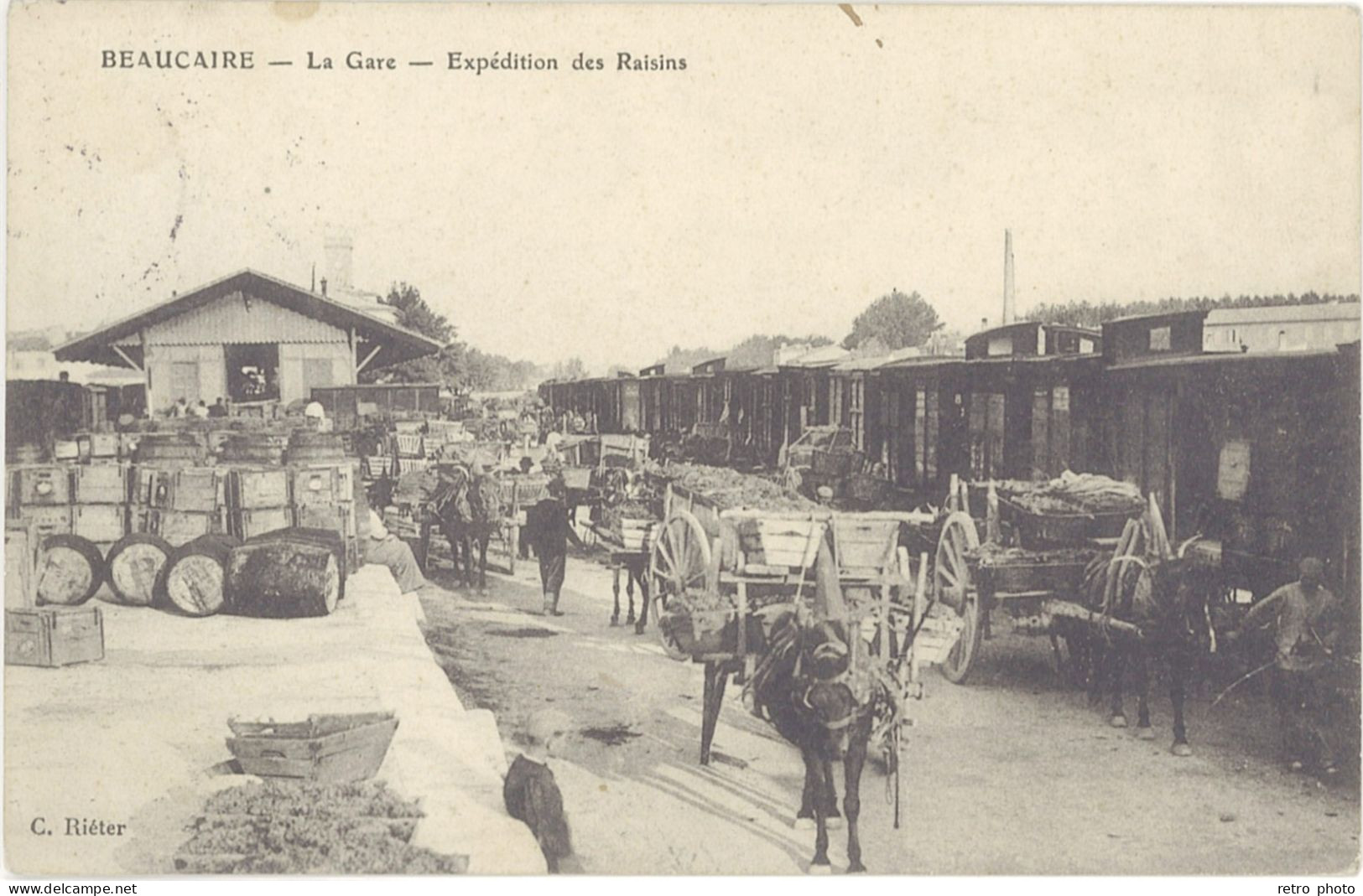 TB 30 – Beaucaire – La Gare – Expédition Des Raisins - Beaucaire