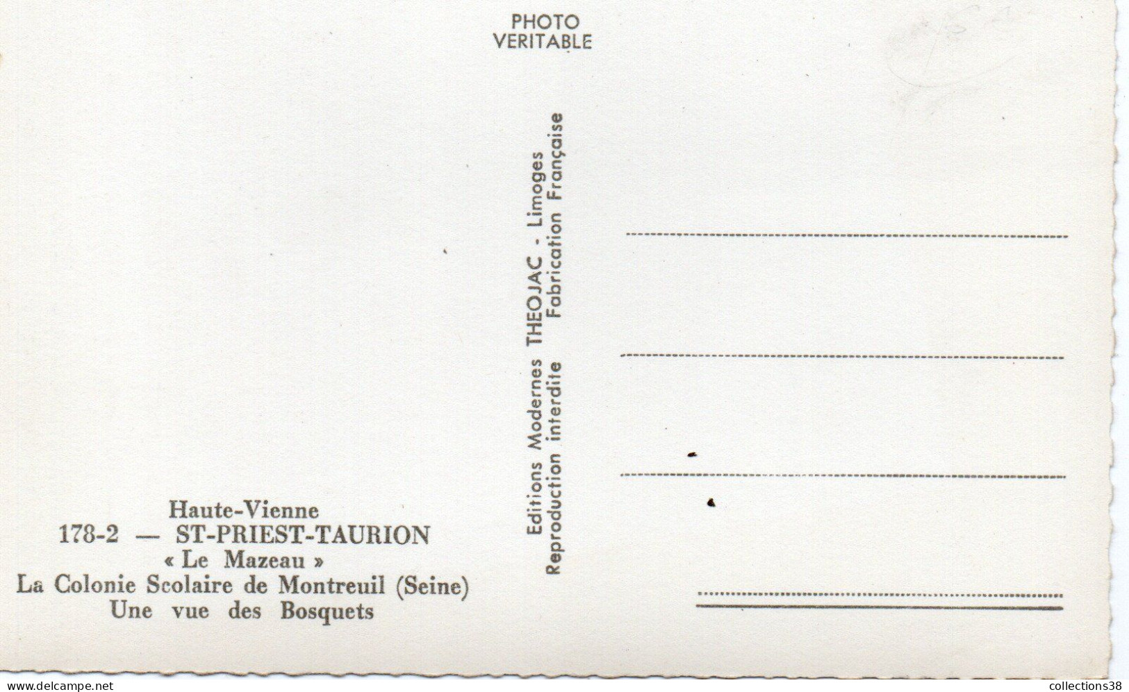 St-Priest-Taurion - "Le Mazeau" - Colonie Scolaire De Montreuil (Seine) - Une Vue Des Bosquets - Saint Priest Taurion