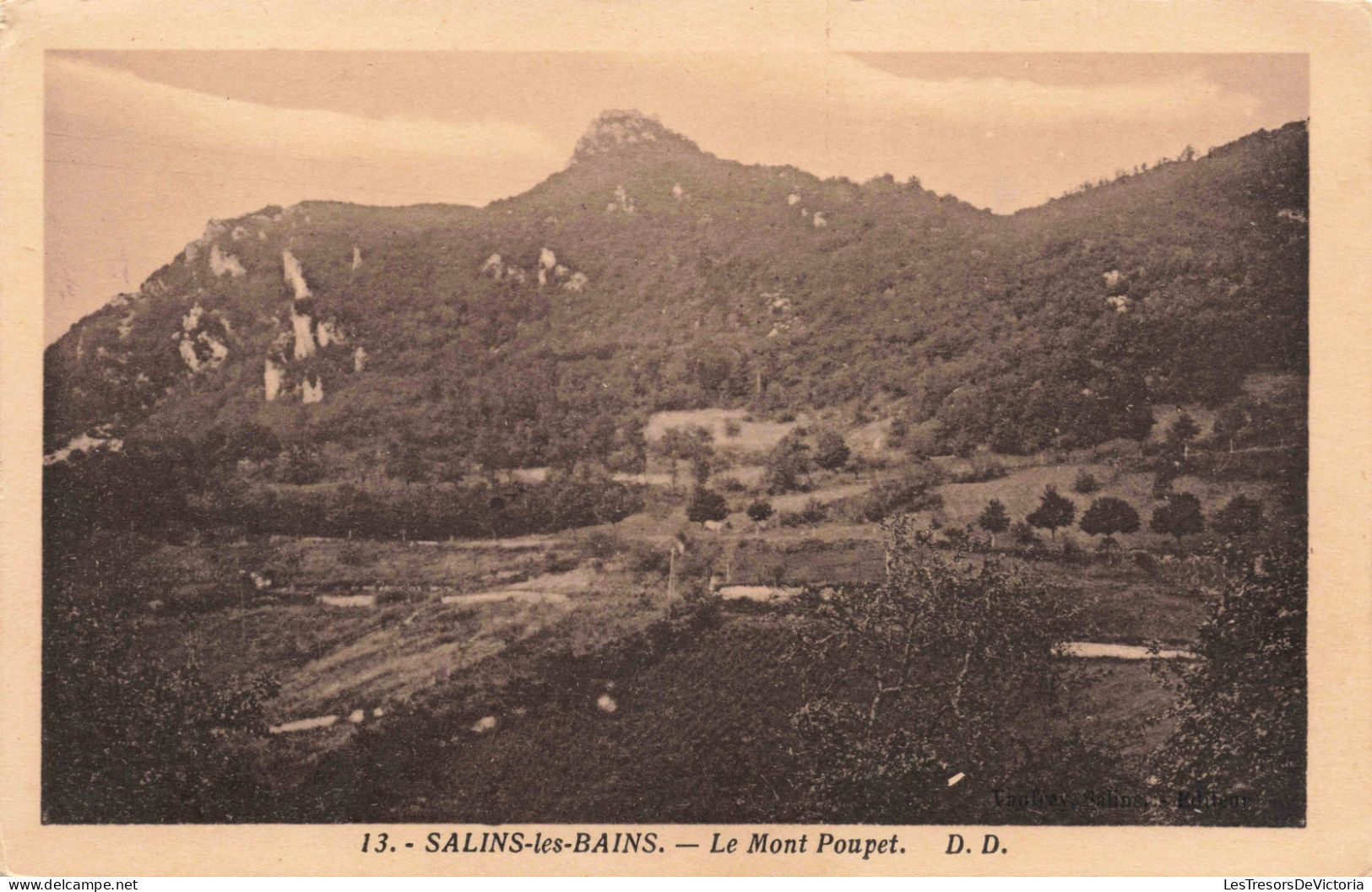 FRANCE - Salins-les-bains - Le Mont Poupet - Carte Postale Ancienne - Arbois