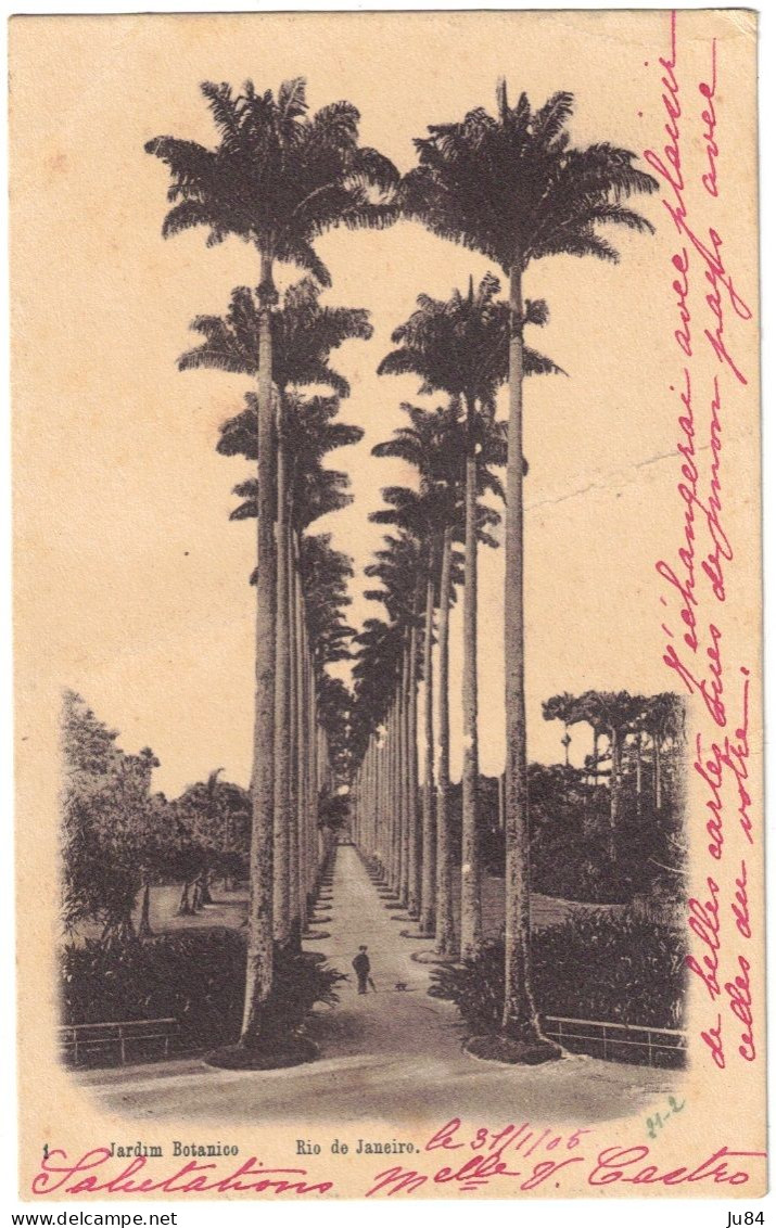 Brésil - Rio De Janeiro - Jardim Botanico - Carte Postale Pour Rouïba (Algérie) - 1er Février 1905 - Lettres & Documents