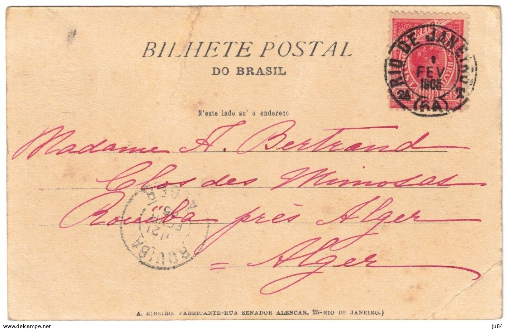 Brésil - Rio De Janeiro - Jardim Botanico - Carte Postale Pour Rouïba (Algérie) - 1er Février 1905 - Lettres & Documents