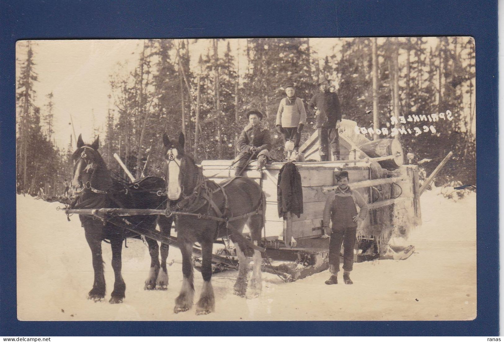 CPA Canada Carte Photo Attelage Non Circulé - Ohne Zuordnung