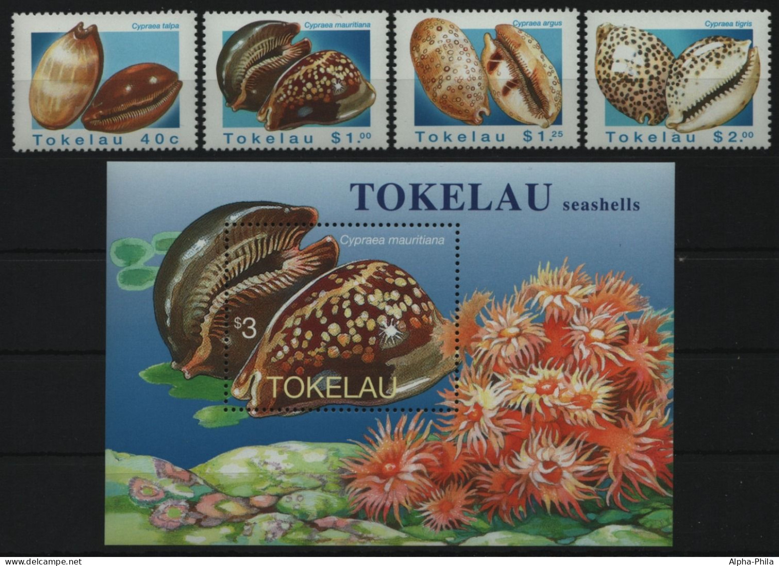 Tokelau 1996 - Mi-Nr. 238-241 & Block 9 ** - MNH - Meeresschnecke / Marine Snail - Tokelau