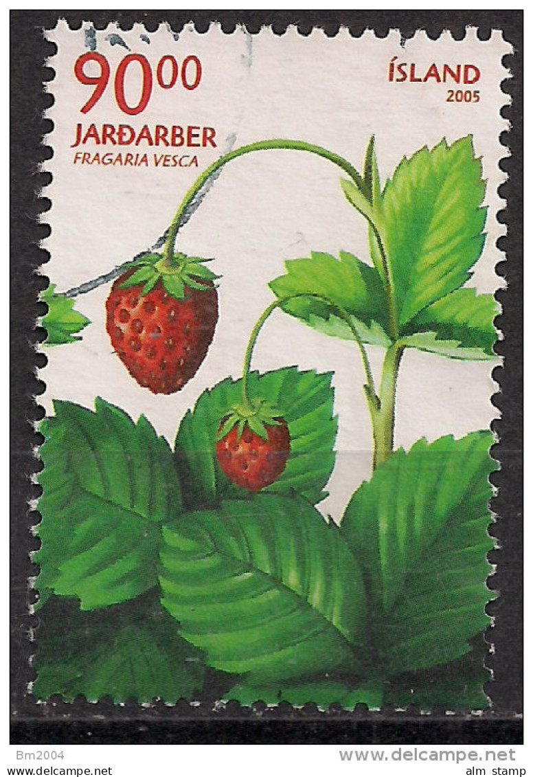 2005 Island Mi. 1107 Used  Walderdbeere (Fragaria Vesca - Used Stamps