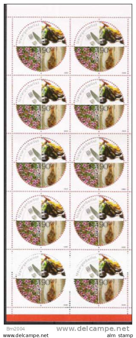 2005 Island Booklet  Yv.  C 1031 Mi. 1103** MNH Europa - Cuadernillos