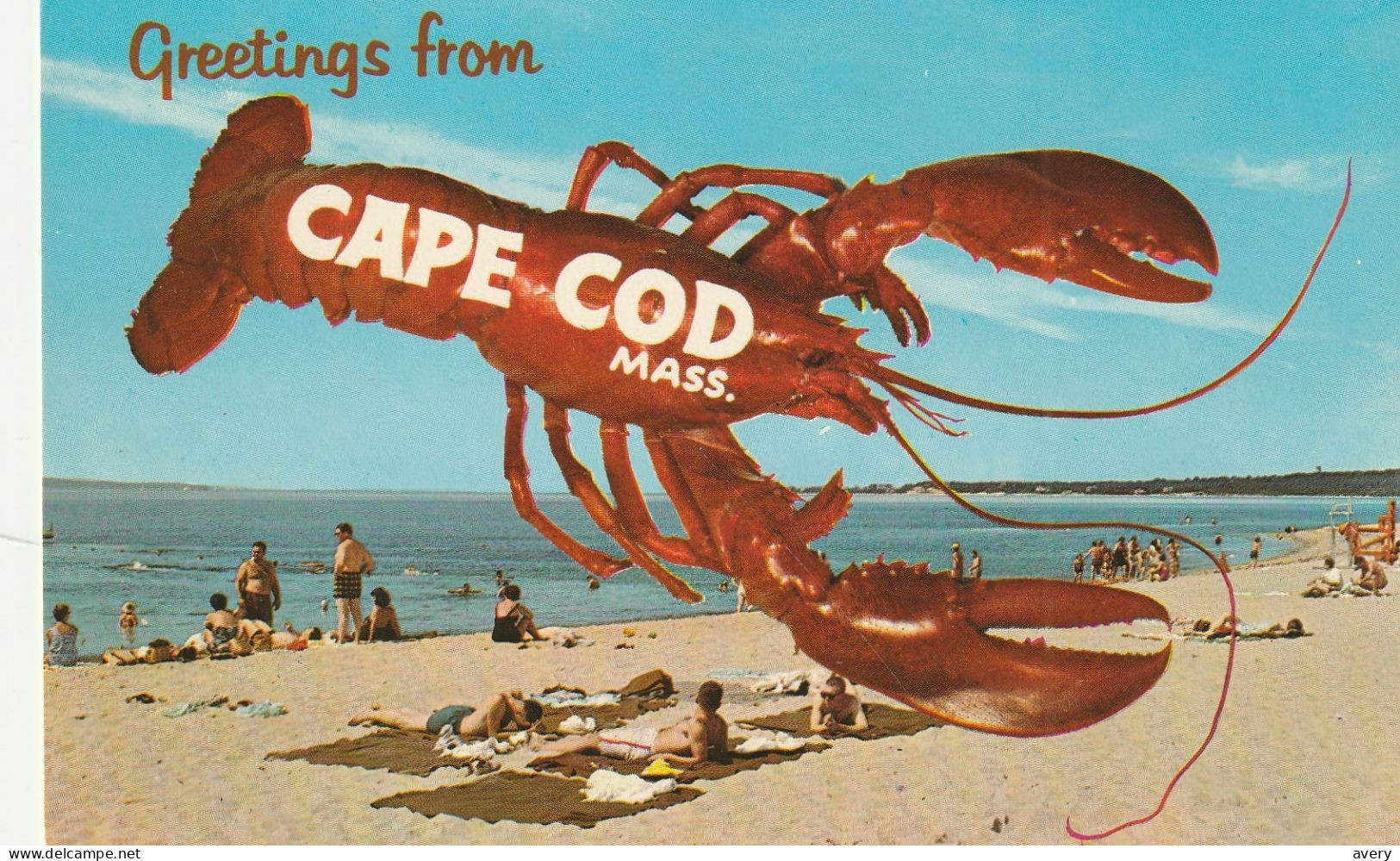 Greetings From Cape Cod, Massachusetts - Cape Cod