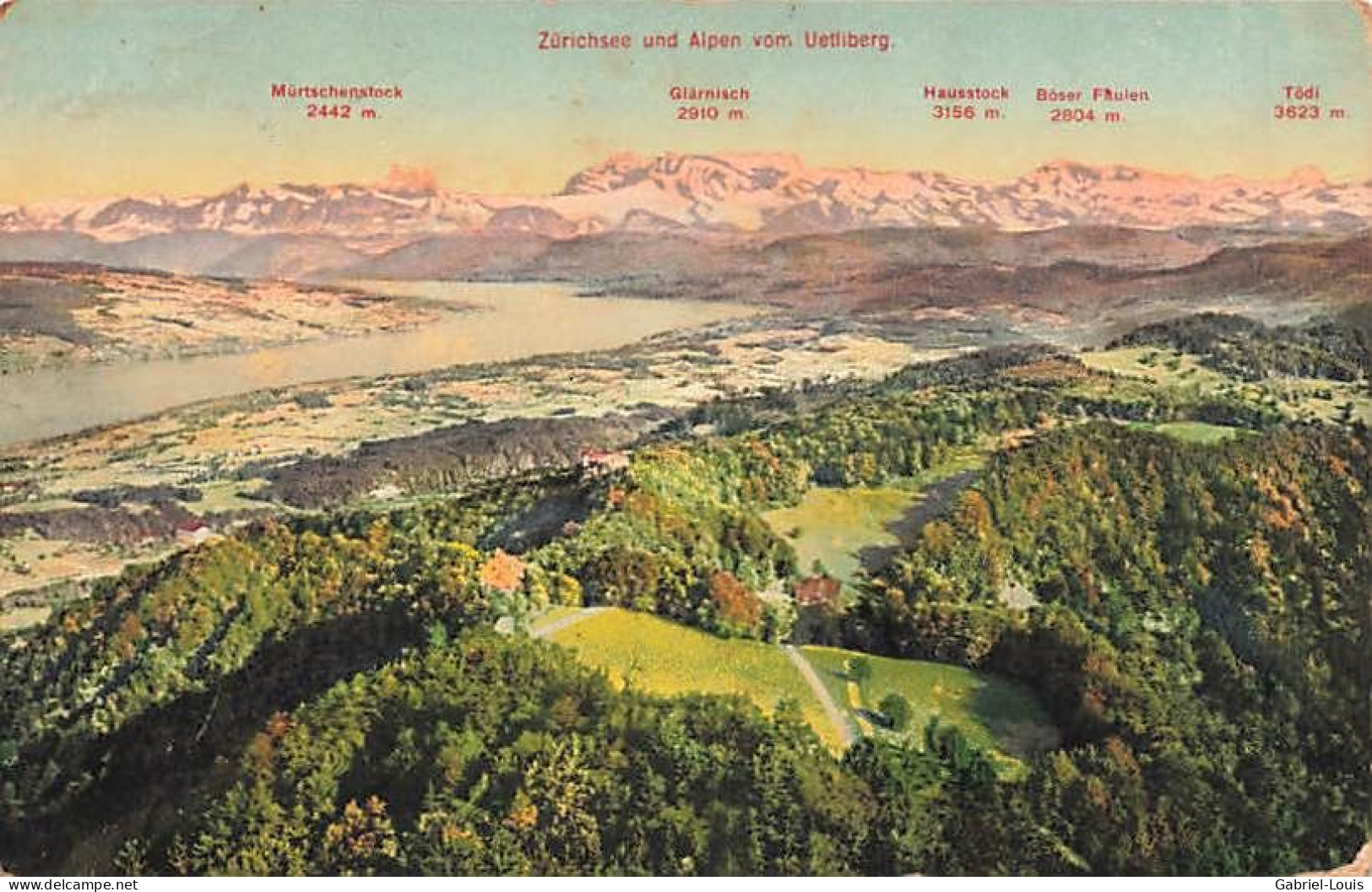 Zürichsee Und Alpen Vom Uetliberg Zürich 1917 Militärpost - Zürich