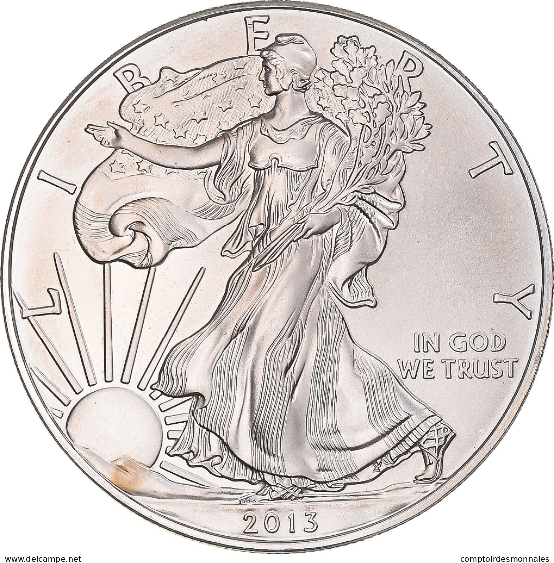 Monnaie, États-Unis, 1 Dollar, 1 Oz, 2013, Philadelphie, SPL, Argent, KM:273 - Argent