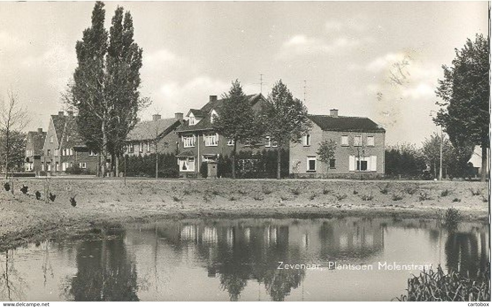 Zevenaar, Plantsoen Molenstraat - Zevenaar