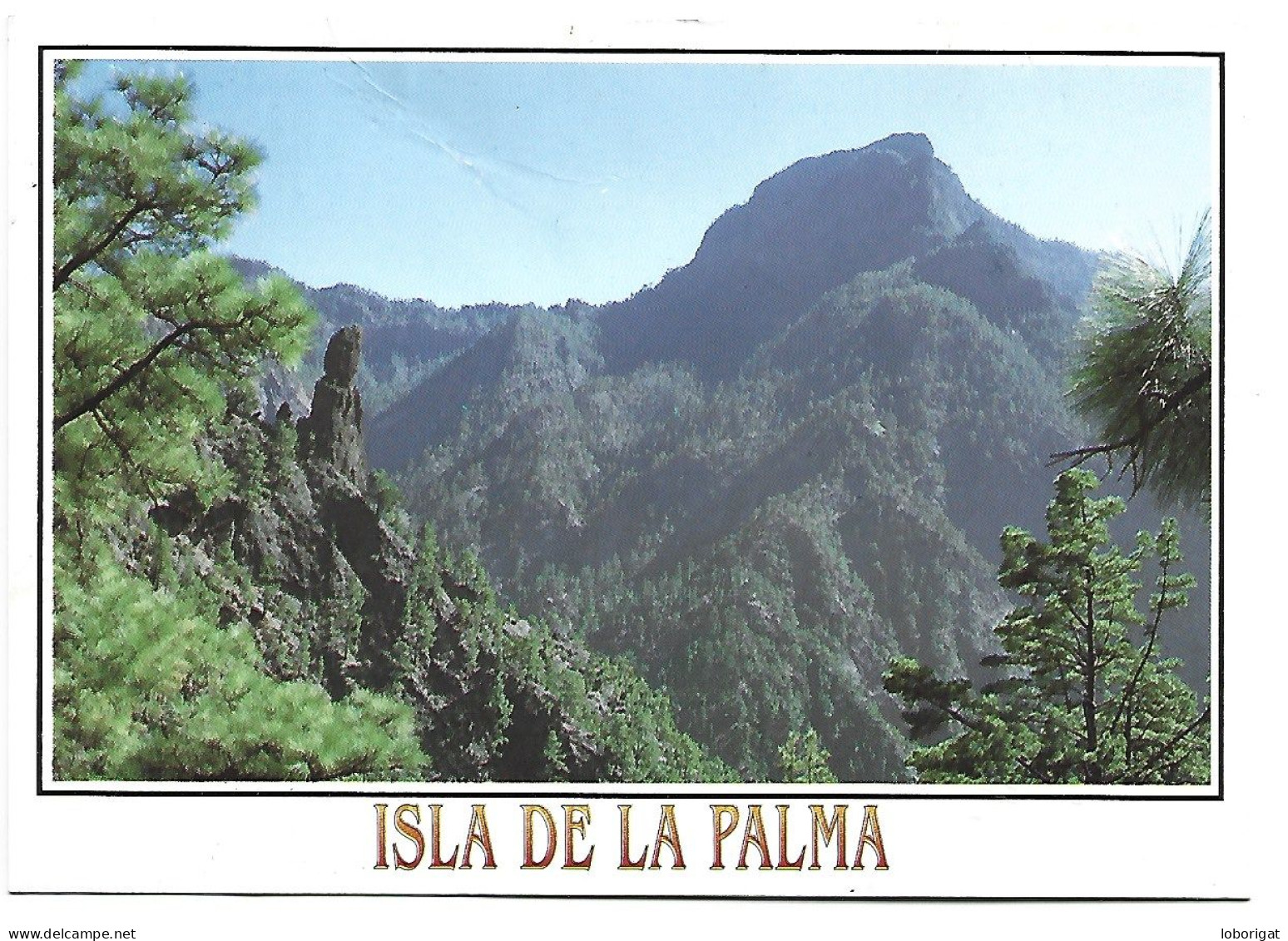 VISTA DEL ROQUE IDAFE.- CALDERA DE TABURIENTE / PARQUE NACIONAL.- SAN MIGUEL DE LA PALMA.- (CANARIAS) - La Palma