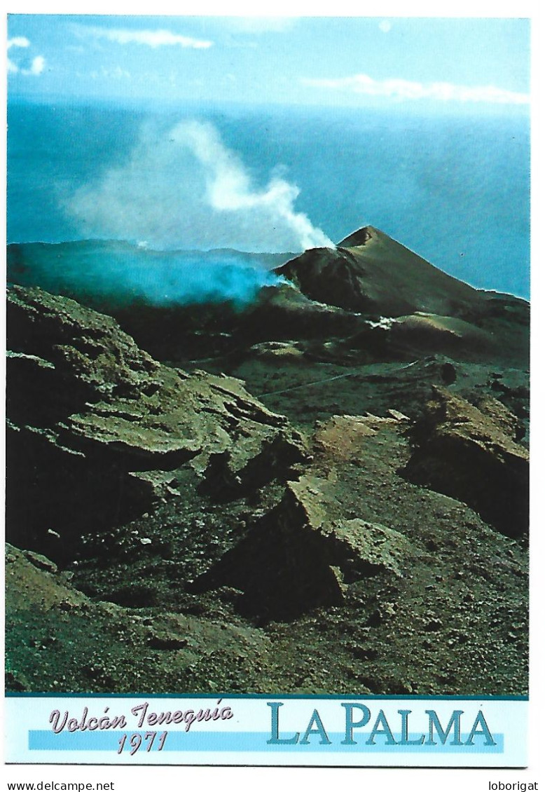 VOLCAN DE TENEGUIA.- FUENCALIENTE - ISLA DE LA PALMA / ISLAS CANARIAS.- ( ESPAÑA ) - La Palma