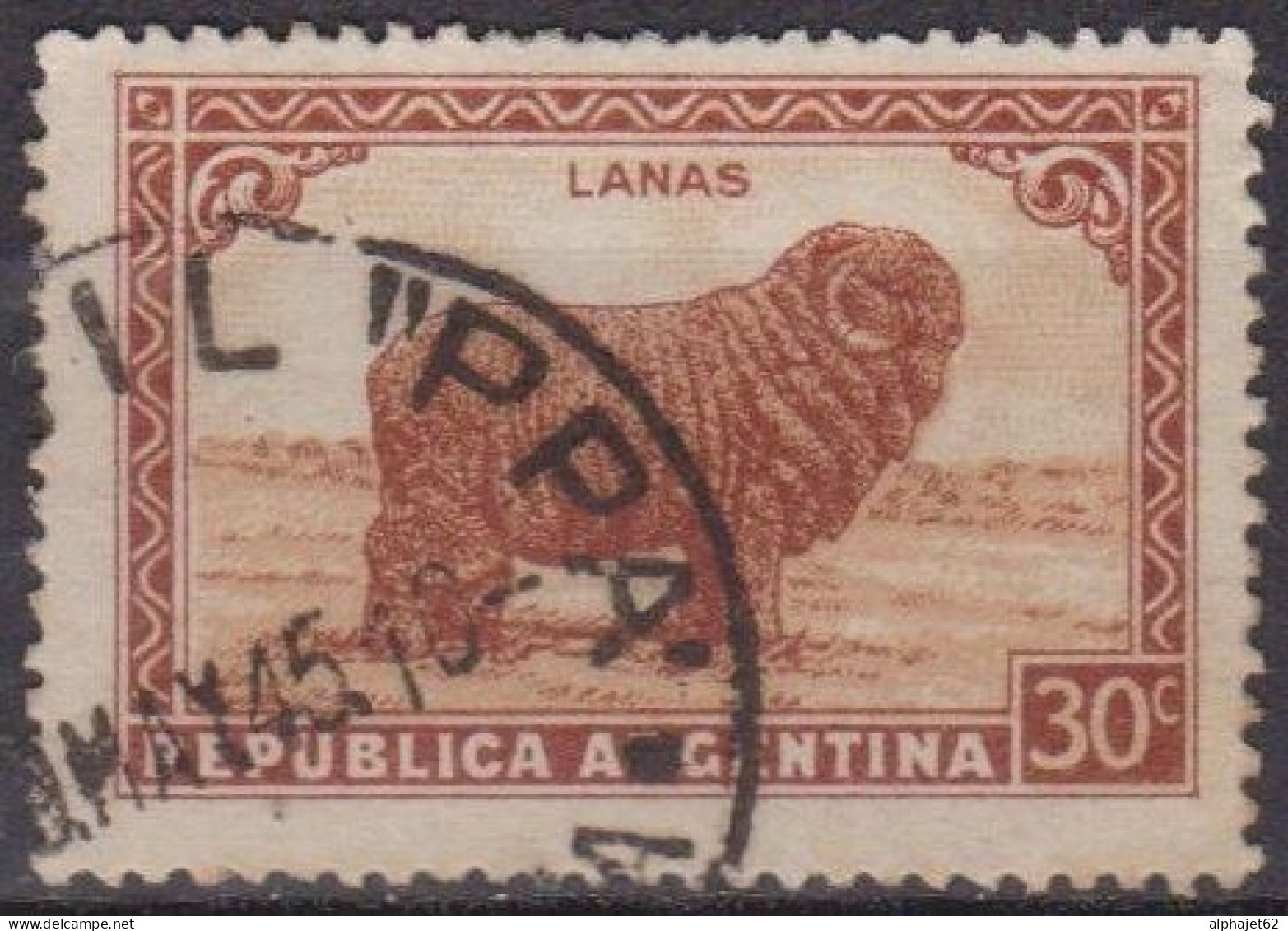 Economie - Elevage - ARGENTINE - Mouton Mérinos - N° 377 - 1935 - Usados