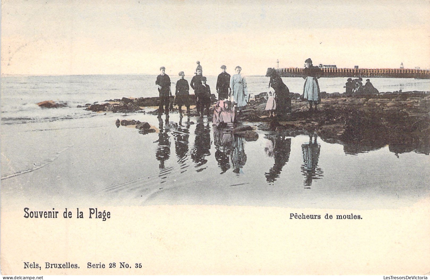 BELGIQUE - Ostende - Oostende - Animé - Pecheurs De Moules - Nels - Carte Postale Ancienne - Oostende