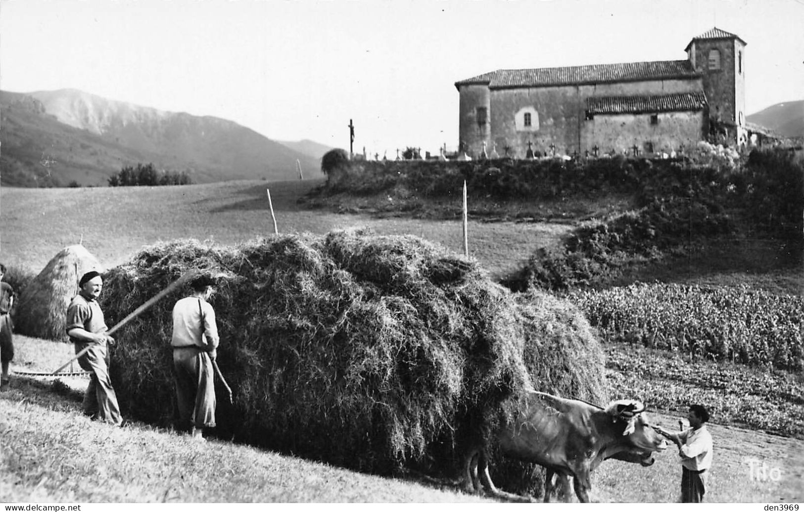 BIRIATOU (Pyrénées-Atlantique) - L'Eglise - Rentrée Des Foins - Attelage De Boeufs, Agriculture - Biriatou