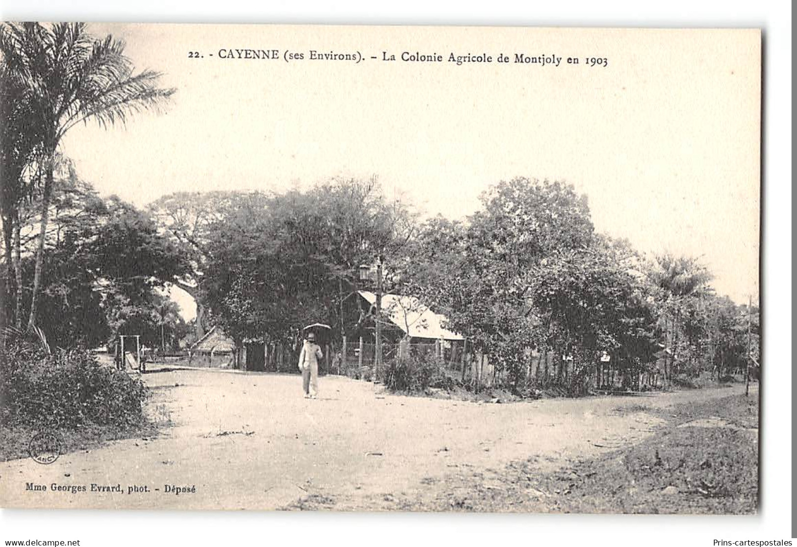 CPA Guyane Cayenne La Colonie Agricole De Montjoly En 1903 - Cayenne