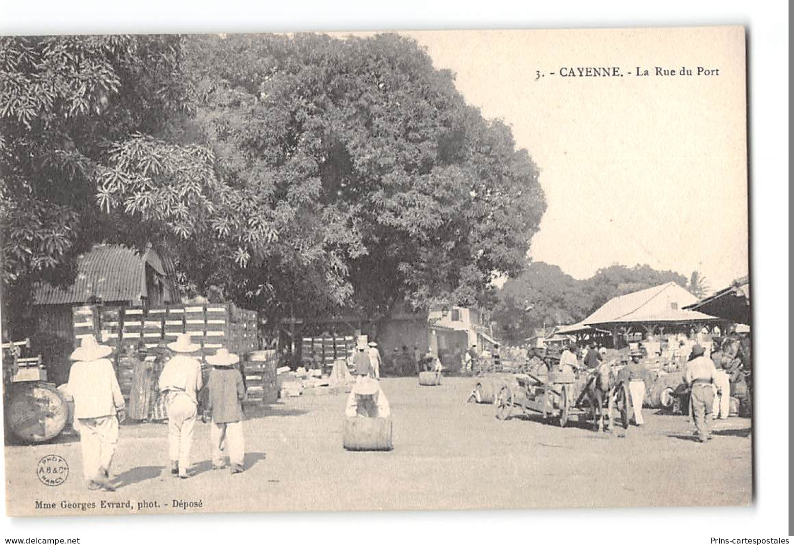 CPA Guyane Cayenne La Rue Du Port  - Cayenne