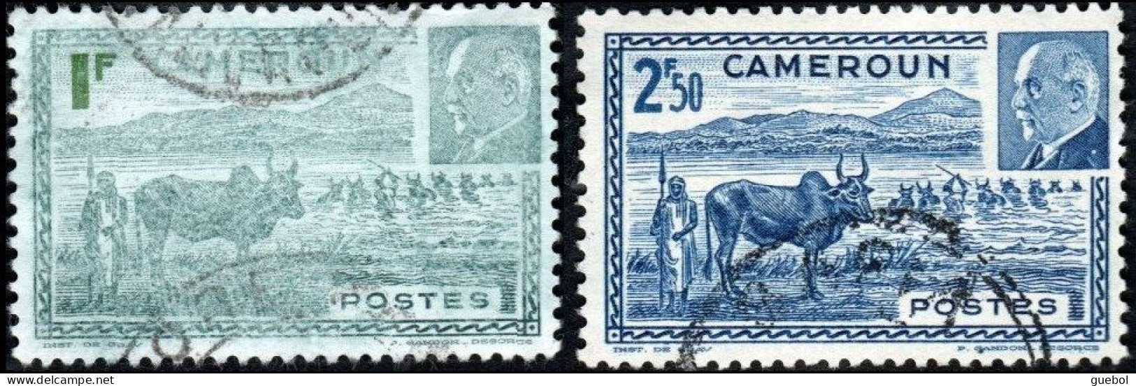 Détail De La Série Maréchal Pétain Obl. Cameroun N° 200 Et 201 Troupeau De Zébus - 1941 Série Maréchal Pétain