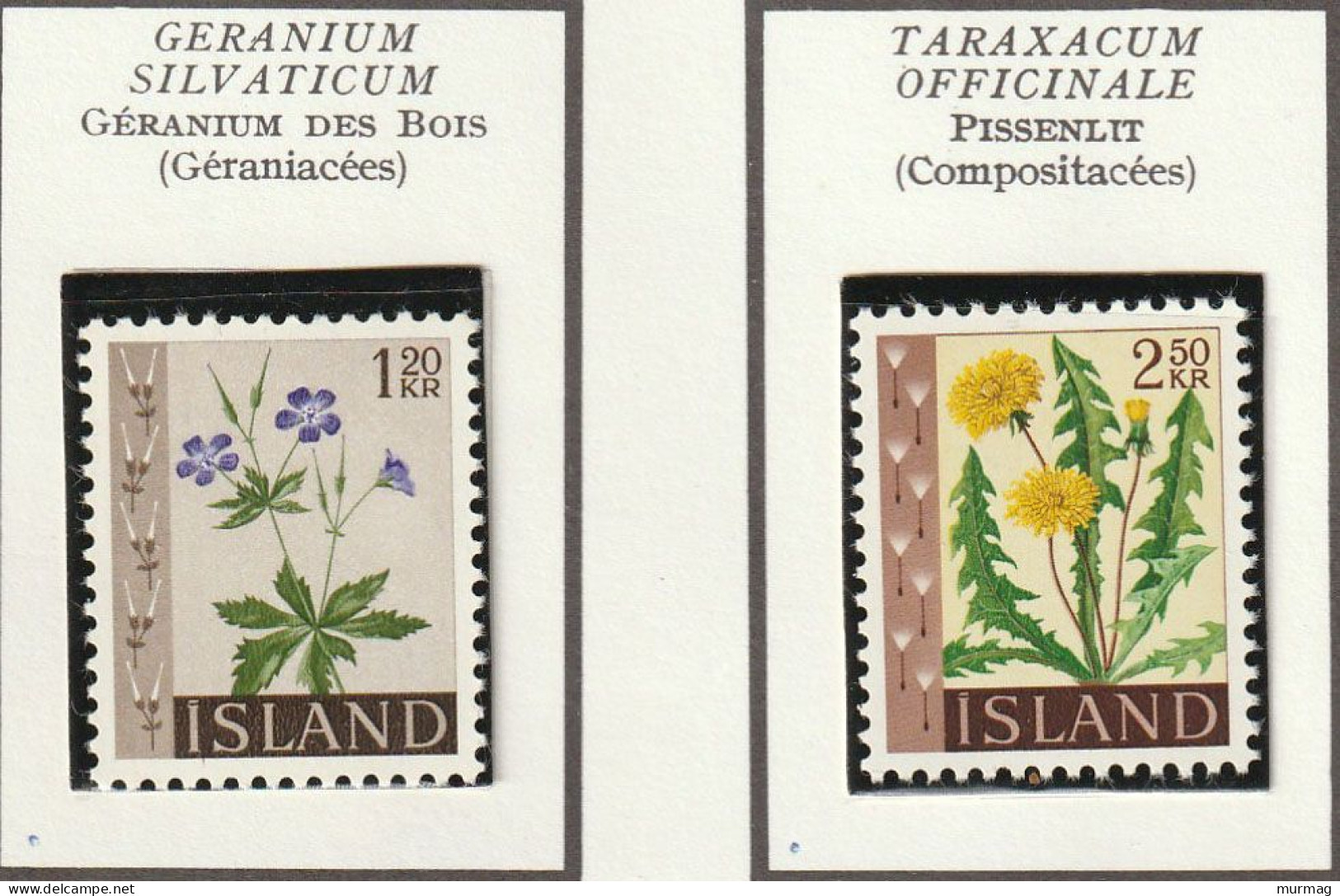 ISLANDE - Fleurs, Flowers, Géranium, Pissenlit, Renoncule - Y&T N° 304-305 - 1960-62 - MH - Nuovi