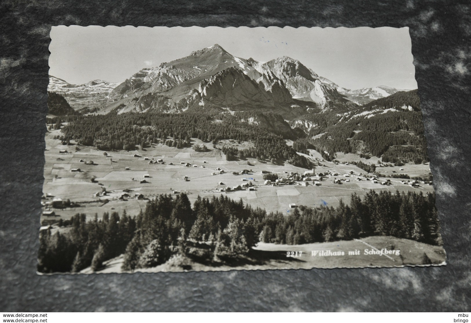 A6299     WILDHAUS MIT SCHAFBERG - 1953 - Wil