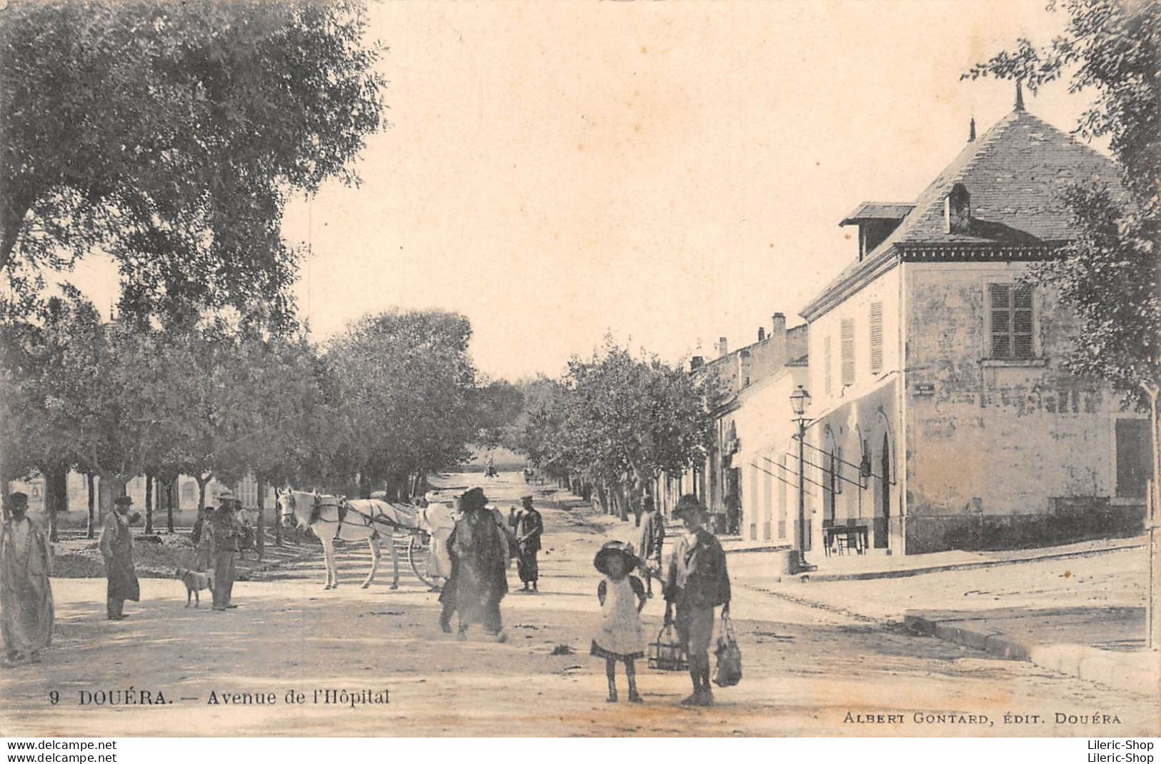 Algérie - DOUERA -  Avenue De L'Hôpital - Attelage - Other & Unclassified