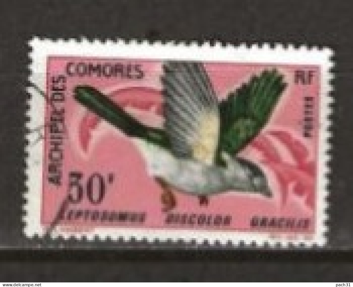 Archipel Des Comores    N° YT 44 Oblitéré  Oiseau  1967 - Oblitérés