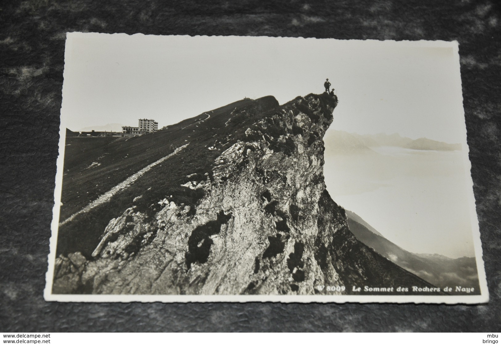 A6393    LE SOMMET DES ROCHERS DE NAYE - Roche