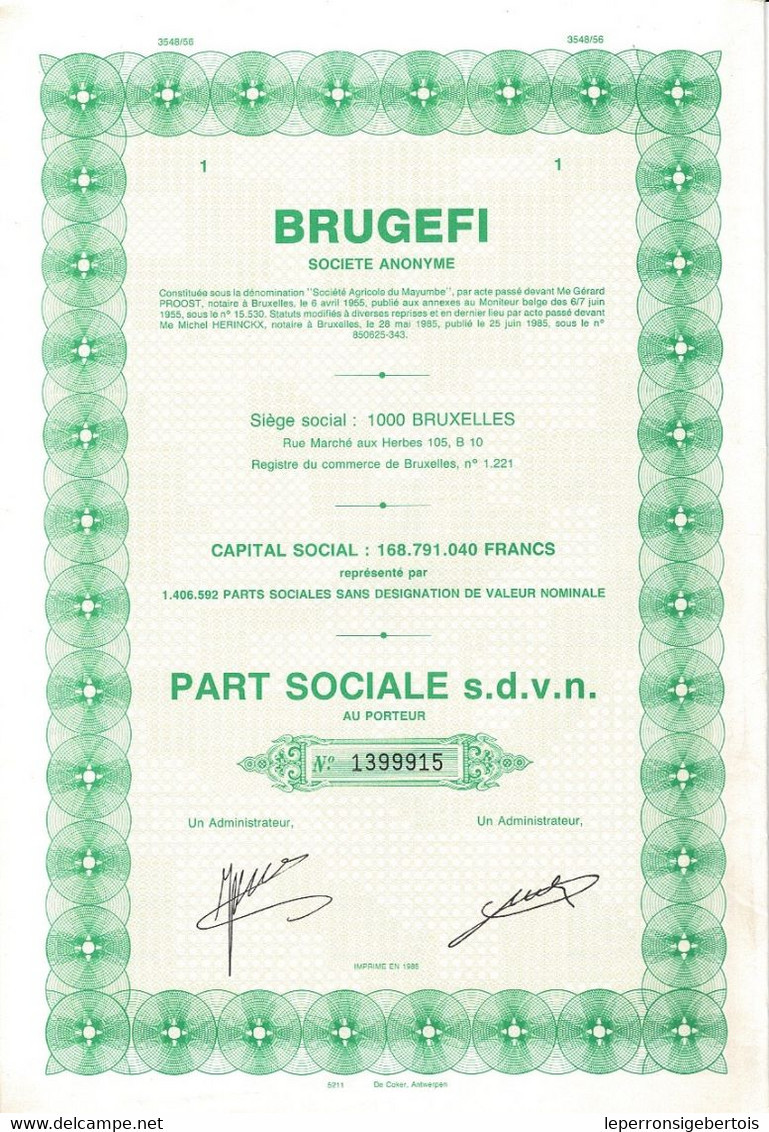 - Titre De 1985 - BRUGEFI - Société Anonyme - EF- - Afrika