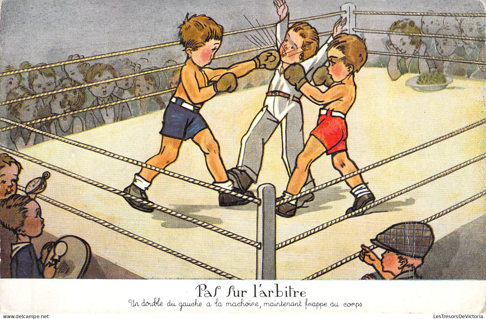 SPORT - BOXE - Pas Sur L'arbitre - Humour - Ring De Boxe - Carte Postale Ancienne - - Boxing