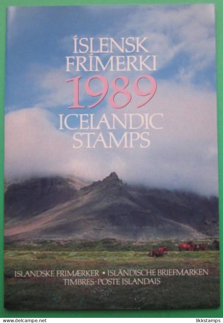 EMPTY 1989 ICELAND YEAR PACK ( NO STAMPS ) BUT USEFUL INFORMATION. #03270 - Full Years