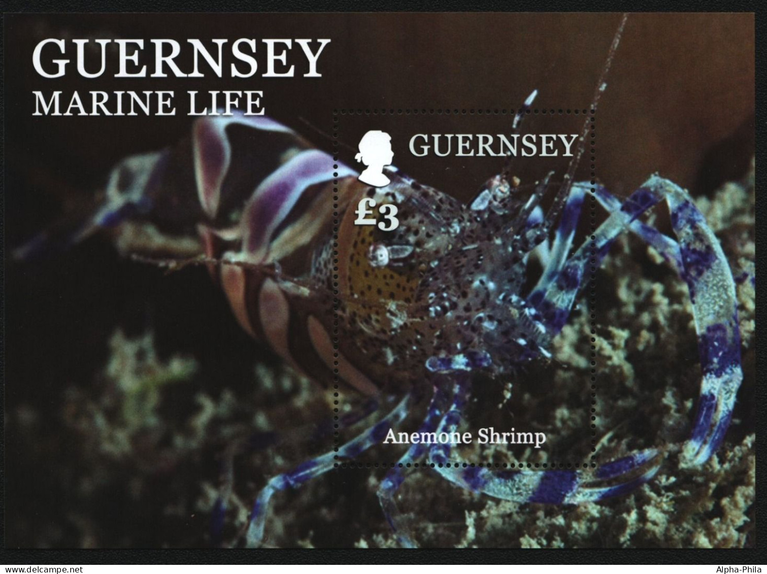 Guernsey 2014 - Mi-Nr. Block 70 ** - MNH - Meerestiere / Marine Life - Guernesey