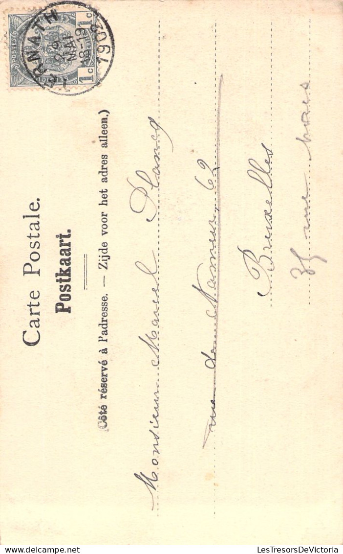 BELGIQUE - Ternath - La Dreve Du Chateau - Nels - Carte Postale Ancienne - - Ternat