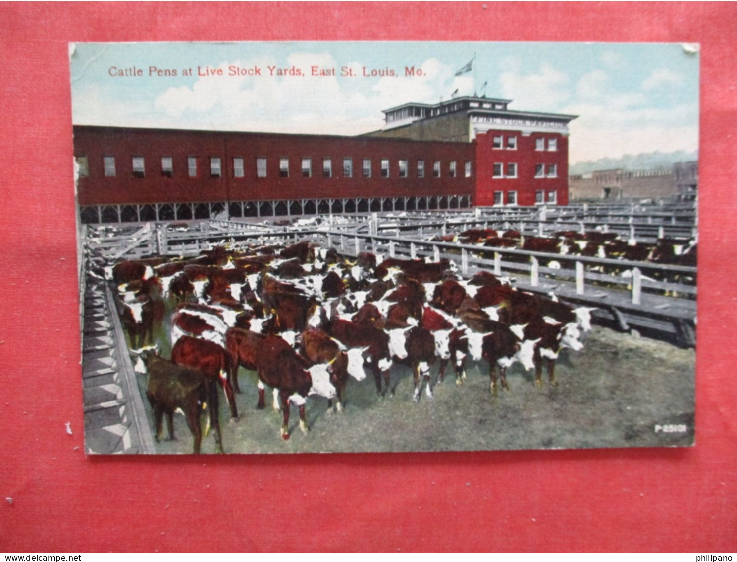 Cattle Pens At Live Stock Yards.   St Louis – Missouri    Ref 6230 - St Louis – Missouri