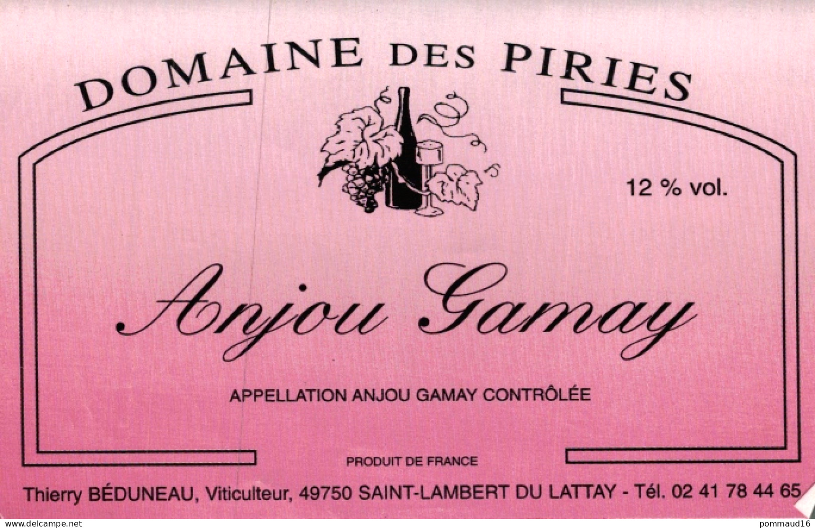 Etiquette Domaine Des Piries, Anjou Gamay, Thierry Béduneau - Autres & Non Classés