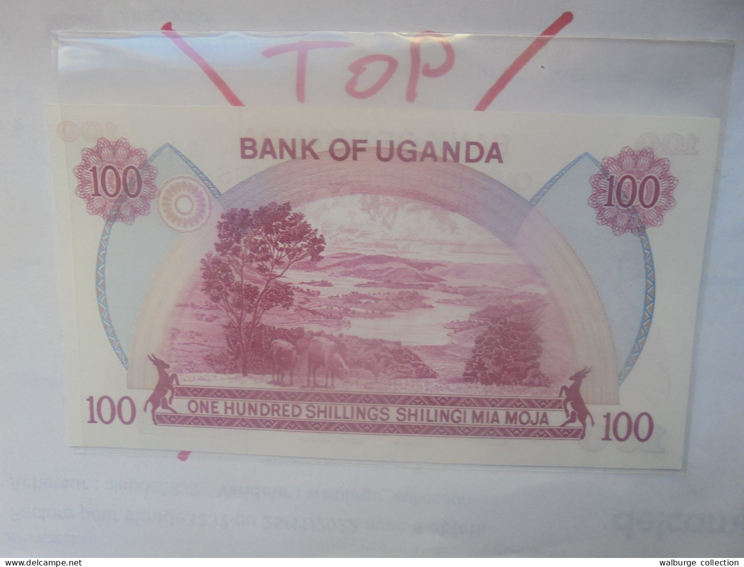 OUGANDA 100 SHILLINGS 1982 Neuf (B.31) - Uganda