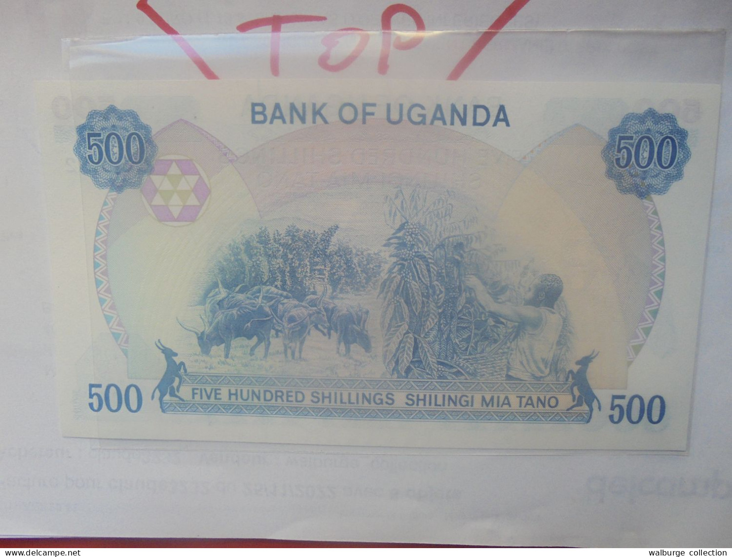 OUGANDA 500 SHILLINGS 1986 Neuf (B.31) - Ouganda