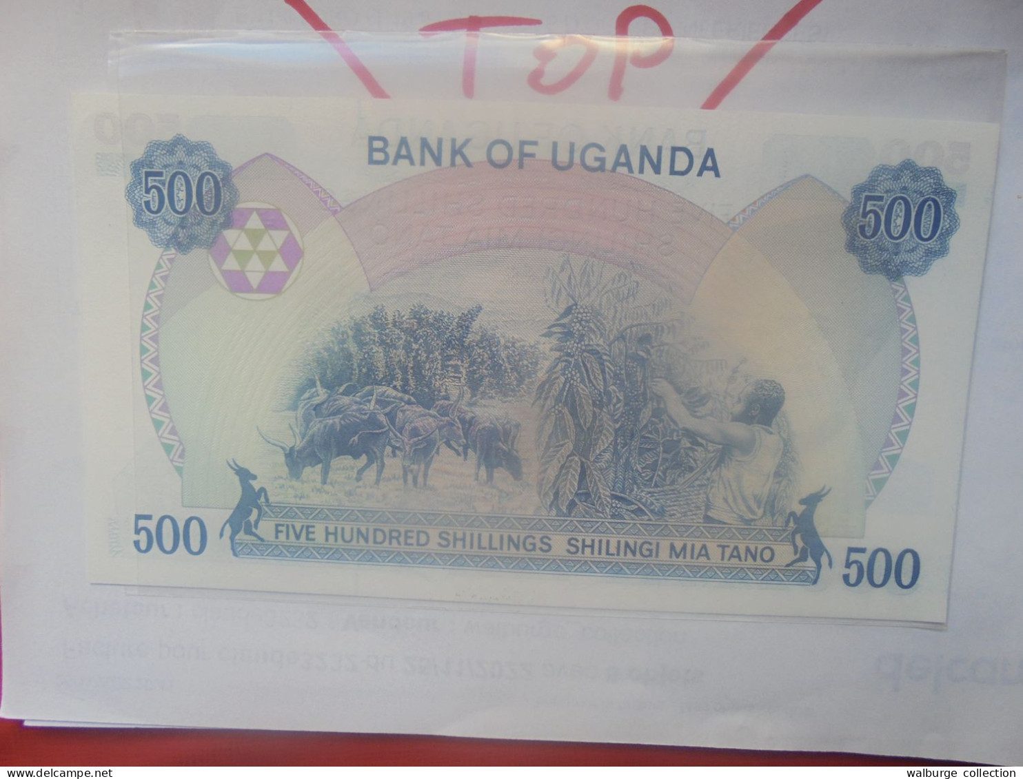 OUGANDA 500 SHILLINGS 1983 Neuf (B.31) - Uganda