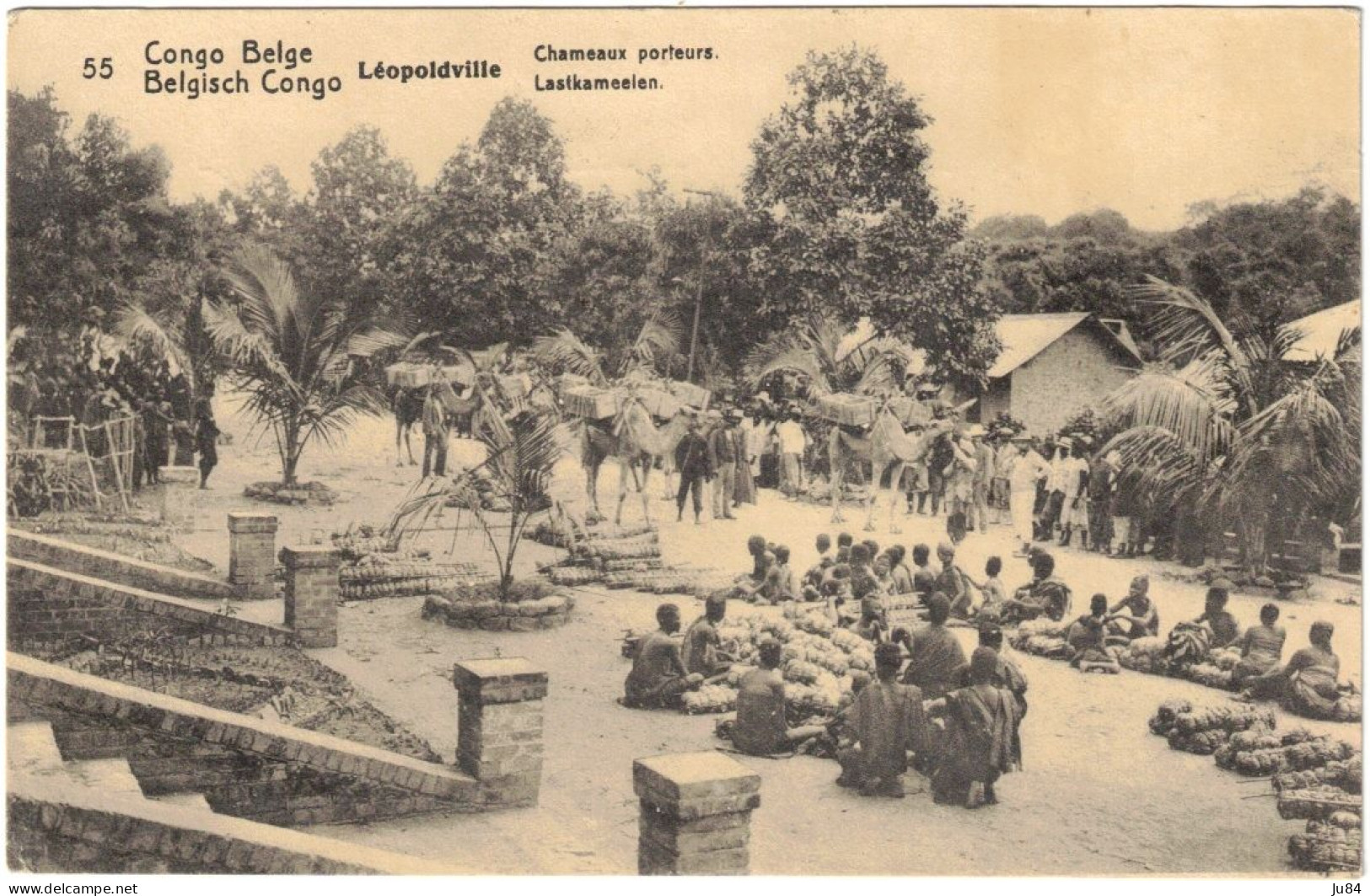 Afrique - Congo - Congo Belge - Cachet MBoma - Léopoldville - Chameaux Porteurs - Carte Postale Pour La France - 1923 - Storia Postale
