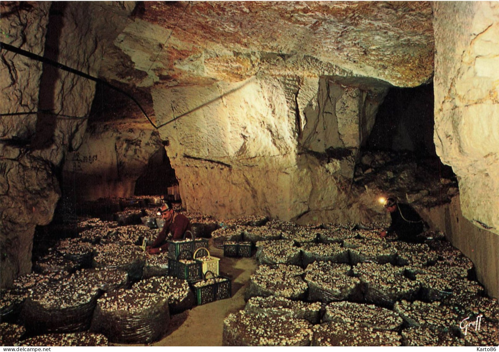 Champignon * Cave à Champignons Dans Anciennes Carrières De Tuffeau * Champignonnières Mushroom Culture Anjou - Funghi