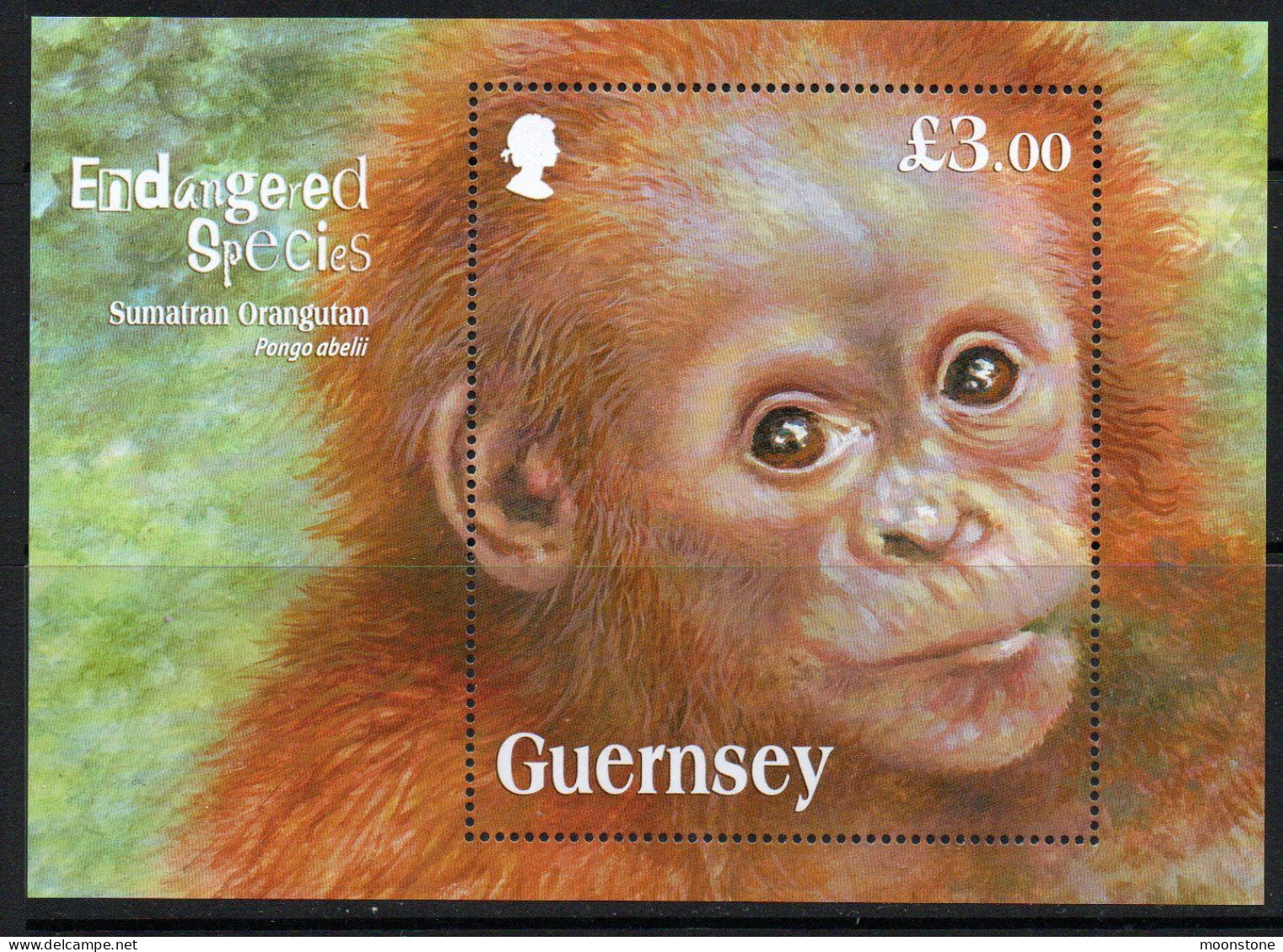 Guernsey 2014 Endangered Species X, Sumatran Orangutan MS, MNH, SG 1503 - Guernesey