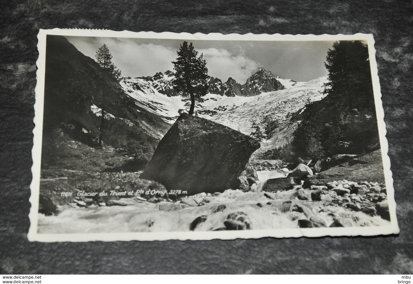 A6424    GLACIER DU TRIENT ET PTE. D'ORNY - Trient