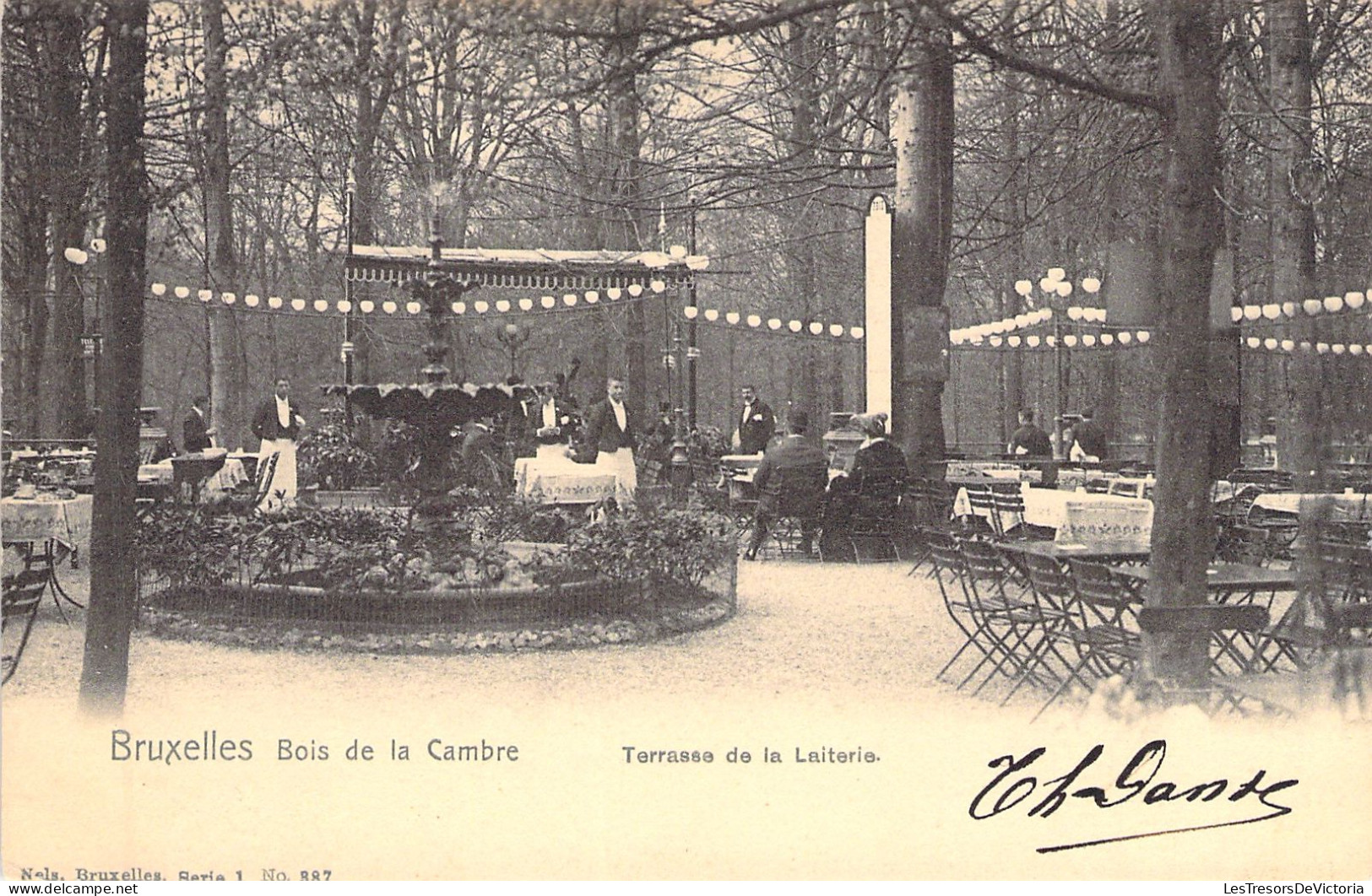 BELGIQUE - Bruxelles - Bois De La Cambre - Terrasse De La Laiterie - Nels - Carte Postale Ancienne - - Bossen, Parken, Tuinen