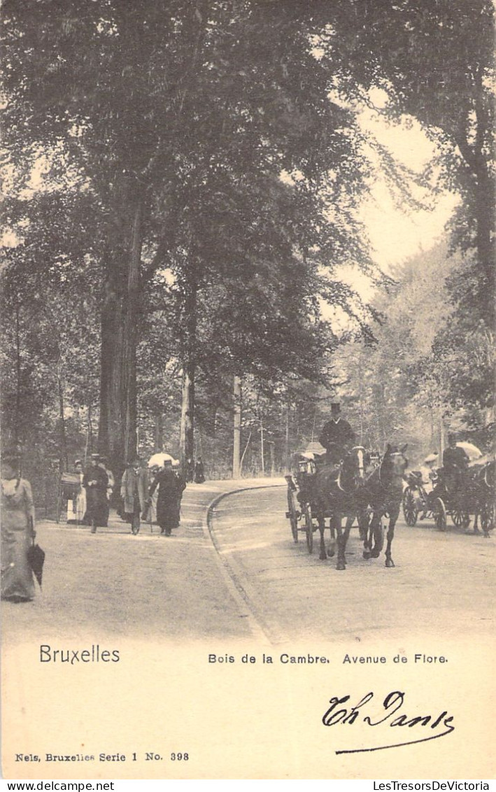 BELGIQUE - Bruxelles - Bois De La Cambre - Avenue De Flore - Nels - Carte Postale Ancienne - - Bossen, Parken, Tuinen