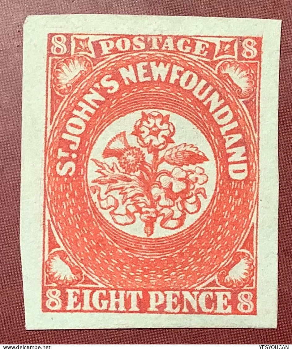 Newfoundland 1857 8d Scarlet-vermilion SUPERB Sc.8, Scarce In This Premium Unused Condition (Scheller Terre Neuve Canada - 1857-1861