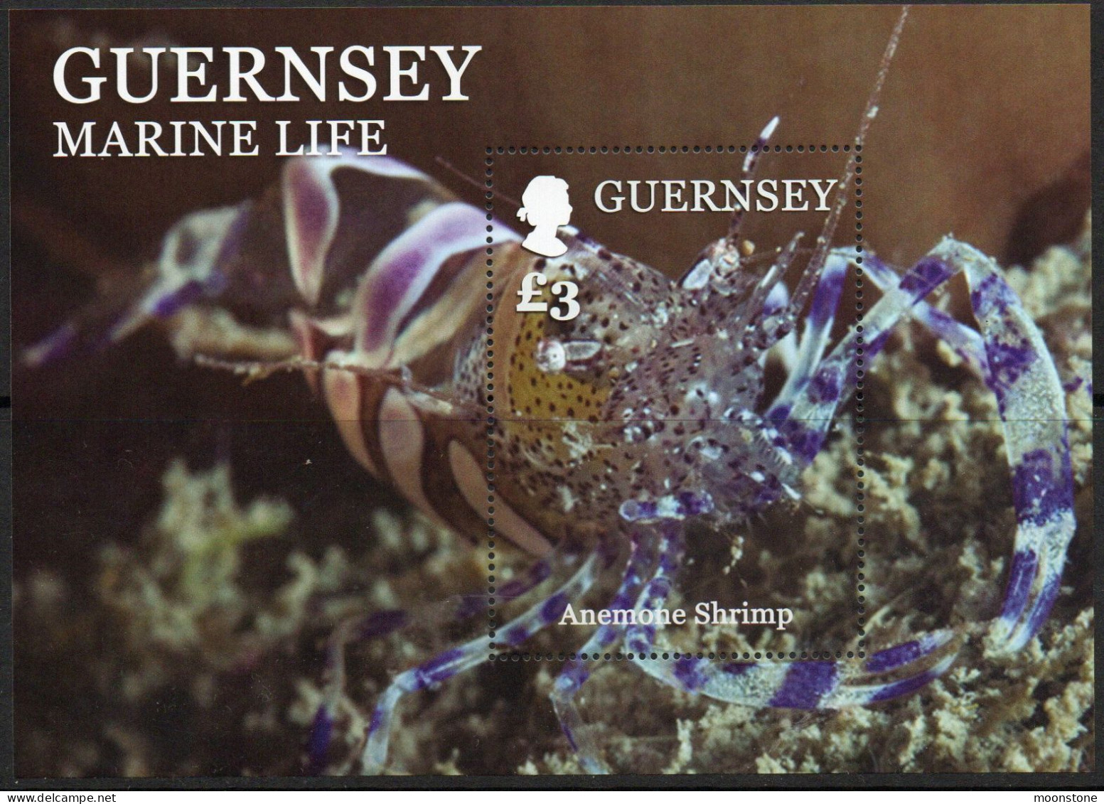 Guernsey 2014 Marine Llife II MS, MNH, SG 1524 - Guernesey