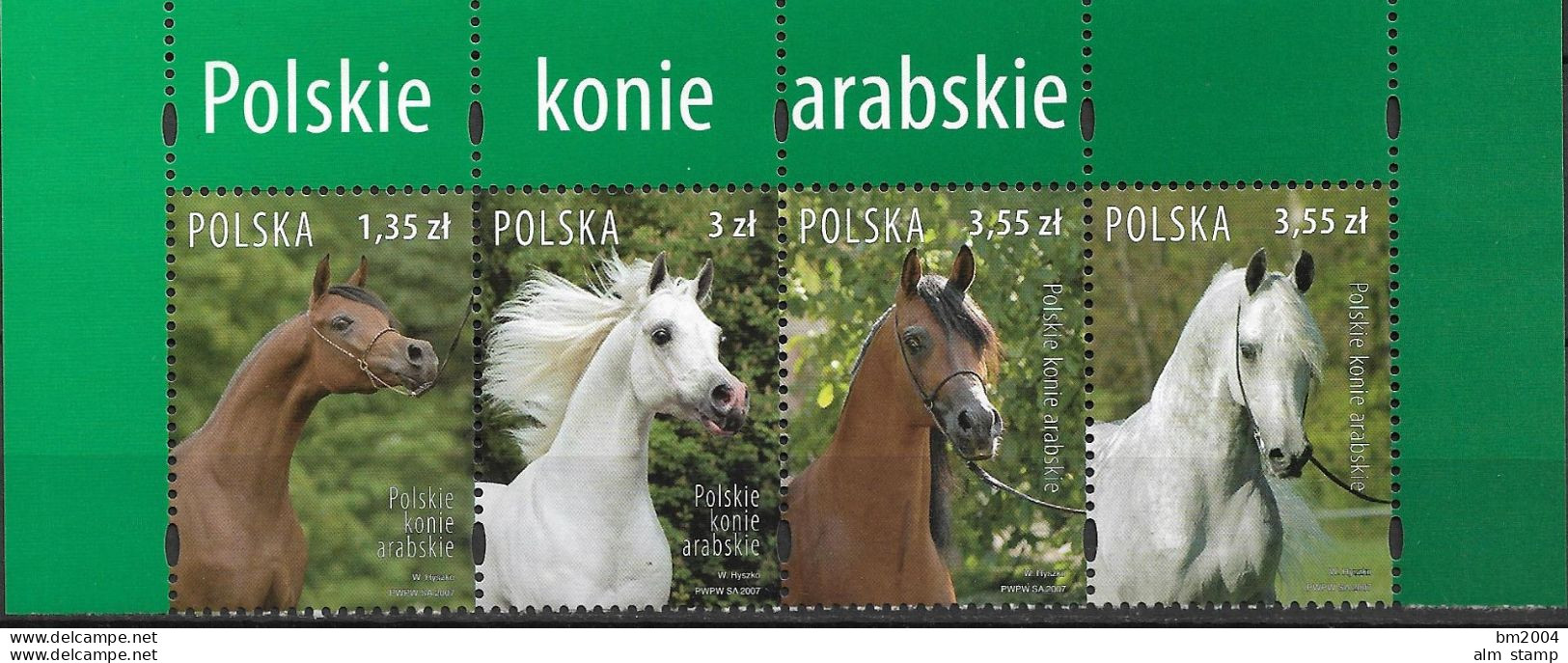 2007  Polen Mi. 4323-6 **MNH  Araberpferde. - Nuevos